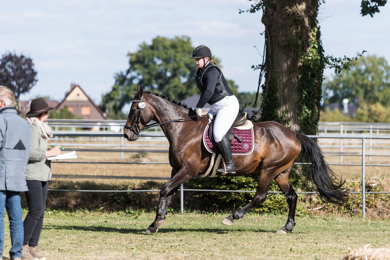 Bild 31 - Pony Akademie Turnier